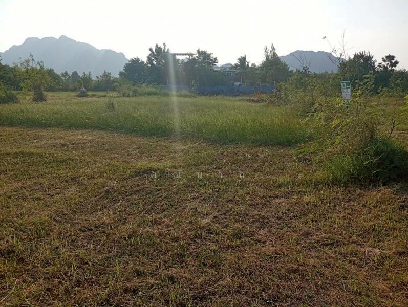 ขาย - ขายที่ดินเปล่า 72 ตารางวา ตำบลนายาง อำเภอชะอำ จังหวัดเพชรบุรี โอกาสทองสำหรับคนมองหาที่ดินทำเลดี, เพชรบุรี