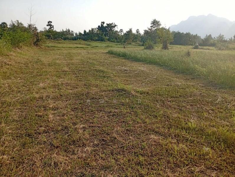 ขาย - ขายที่ดินเปล่า 72 ตารางวา ตำบลนายาง อำเภอชะอำ จังหวัดเพชรบุรี โอกาสทองสำหรับคนมองหาที่ดินทำเลดี, เพชรบุรี