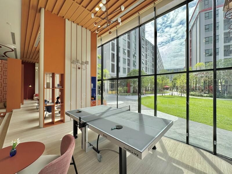 ขาย - Kave Wonderland : เคฟ วันเดอร์แลนด์, ปทุมธานี