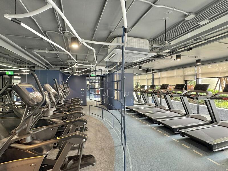 ขาย - Kave Wonderland : เคฟ วันเดอร์แลนด์, ปทุมธานี