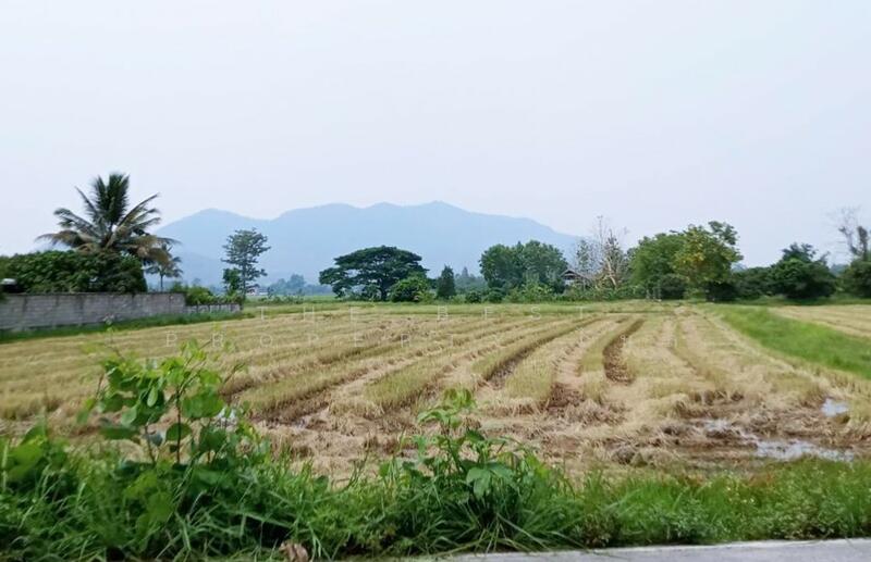 ที่ดินเทิง เชียงราย, Chiang Rai, Wiang, Thoeng, Chiang Rai, , 6,340 sqm, Land For Sale, by The Best Property ไนล์, 500022619 - DDproperty.com
