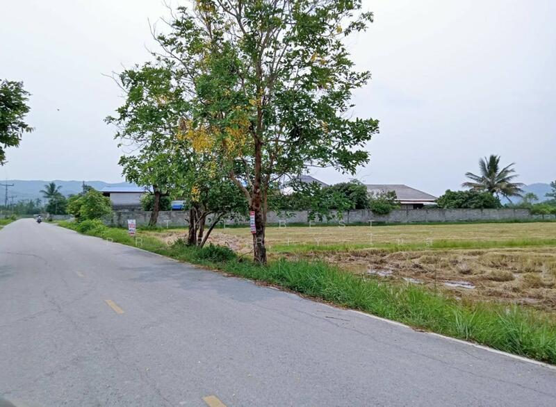 ที่ดินเทิง เชียงราย, Chiang Rai, Wiang, Thoeng, Chiang Rai, , 6,340 sqm, Land For Sale, by The Best Property ไนล์, 500022619 - DDproperty.com