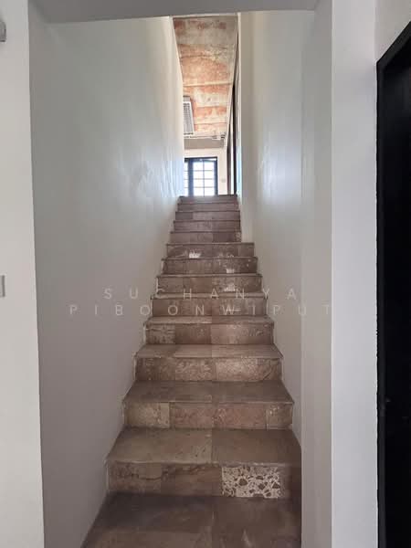 Townhouse For Rent Phrom Phong For Business, Bangkok, สุขุมวิท 39, Khlong Tan Nua, Watthana, Bangkok, 5 Bedrooms, 300 sqm, Townhouse For Rent, by Suchanya Piboonwiput, 500022621 - DDproperty.com