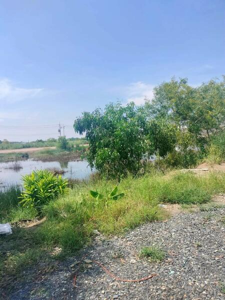 For Sale - ขายที่ดินเปล่า ถูกที่สุด ติดหน้าถนนโครงการเปาอินทร์ ต.ลาดหลุมแก้ว อ.ลาดหลุมแก้ว จ.ปทุมธานี, Pathum Thani