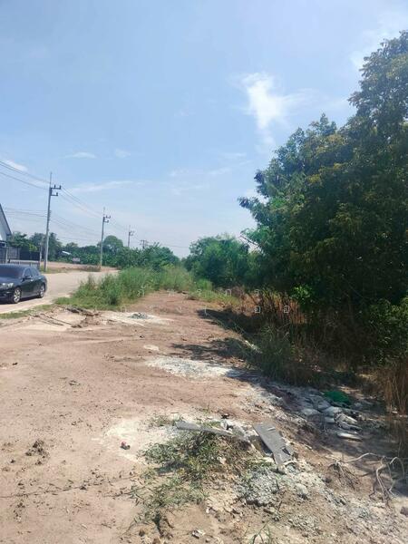 For Sale - ขายที่ดินเปล่า ถูกที่สุด ติดหน้าถนนโครงการเปาอินทร์ ต.ลาดหลุมแก้ว อ.ลาดหลุมแก้ว จ.ปทุมธานี, Pathum Thani