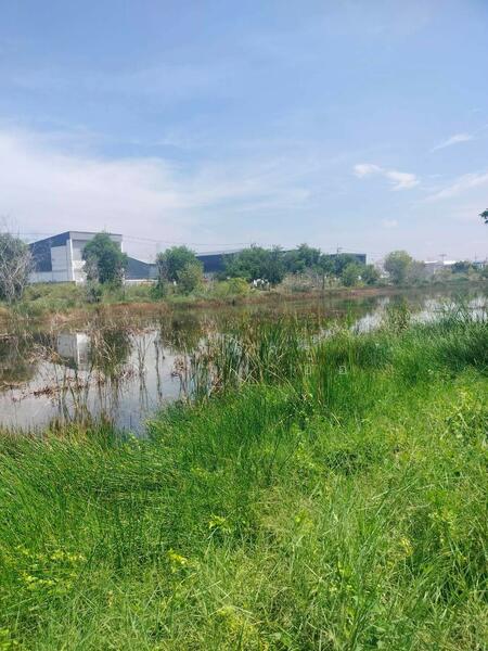 For Sale - ขายที่ดินเปล่า ถูกที่สุด ติดหน้าถนนโครงการเปาอินทร์ ต.ลาดหลุมแก้ว อ.ลาดหลุมแก้ว จ.ปทุมธานี, Pathum Thani