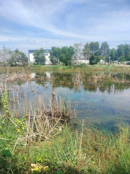 For Sale - ขายที่ดินเปล่า ถูกที่สุด ติดหน้าถนนโครงการเปาอินทร์ ต.ลาดหลุมแก้ว อ.ลาดหลุมแก้ว จ.ปทุมธานี, Pathum Thani