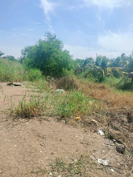 For Sale - ขายที่ดินเปล่า ถูกที่สุด ติดหน้าถนนโครงการเปาอินทร์ ต.ลาดหลุมแก้ว อ.ลาดหลุมแก้ว จ.ปทุมธานี, Pathum Thani