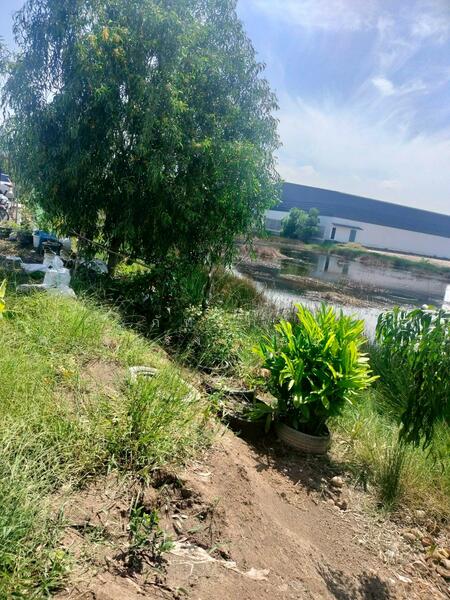 For Sale - ขายที่ดินเปล่า ถูกที่สุด ติดหน้าถนนโครงการเปาอินทร์ ต.ลาดหลุมแก้ว อ.ลาดหลุมแก้ว จ.ปทุมธานี, Pathum Thani