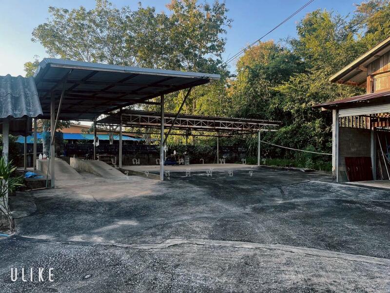 For Sale - ดอยหลวง, Chiang Rai