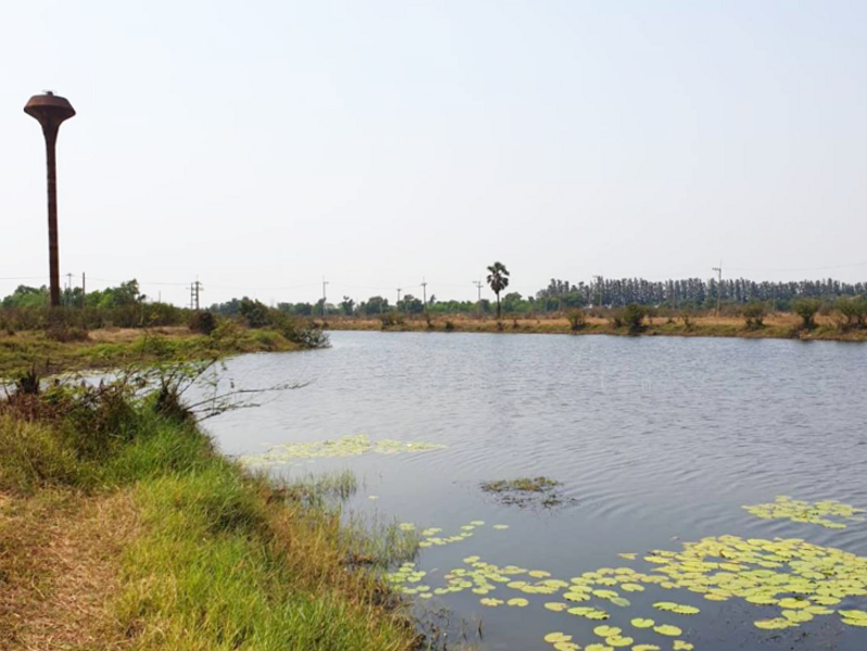 For Sale - ที่ดินองครักษ์ นครนายก, Nakhon Nayok