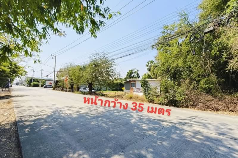 ซอยสุทธิพันธ์ (ระหว่างซอยเลียบคลองหกตะวันตก 31-33), Pathum Thani, รังสิต-นครนายก, Khlong Hok, Khlong Luang, Pathum Thani, , 39,632 sqm, Land For Sale, by ชนะชาติ นนท์ตา, 500023464 - DDproperty.com