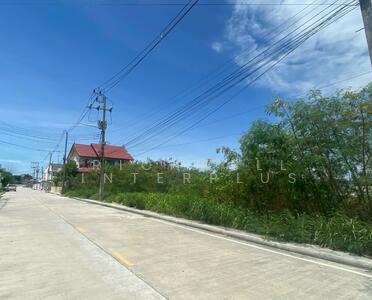 ขาย - ขายที่ดินเสม็ดถมแล้วเนื้อที่ 199 ตรว. ติดถนนซ.นารถมนตเสวี9/1 ใกล้ถนนพระยาสัจจาเพียง300เมตร, ชลบุรี
