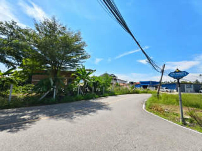 ขาย - แปดริ้ว, ฉะเชิงเทรา