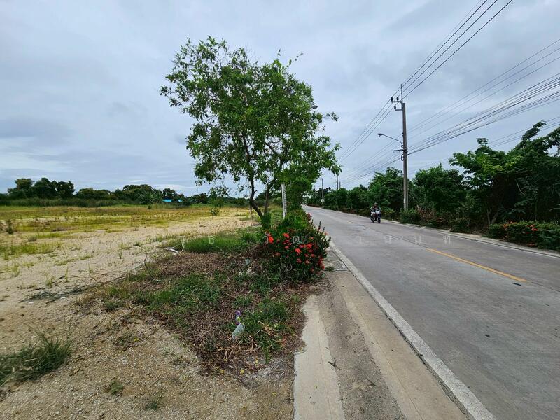 ให้เช่า - ให้เช่าที่ดิน ุ6 ไร่ ซอยบางพลีน้อย-สีล้ง ต.บ้านระกาศ อ. บางบ่อ จ. สมุทรปราการ ใกล้อบต บ้านระกาศ, สมุทรปราการ