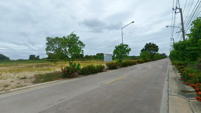 ให้เช่า - ให้เช่าที่ดิน ุ6 ไร่ ซอยบางพลีน้อย-สีล้ง ต.บ้านระกาศ อ. บางบ่อ จ. สมุทรปราการ ใกล้อบต บ้านระกาศ, สมุทรปราการ