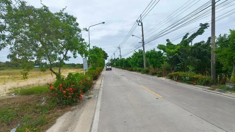 ให้เช่า - ให้เช่าที่ดิน ุ6 ไร่ ซอยบางพลีน้อย-สีล้ง ต.บ้านระกาศ อ. บางบ่อ จ. สมุทรปราการ ใกล้อบต บ้านระกาศ, สมุทรปราการ