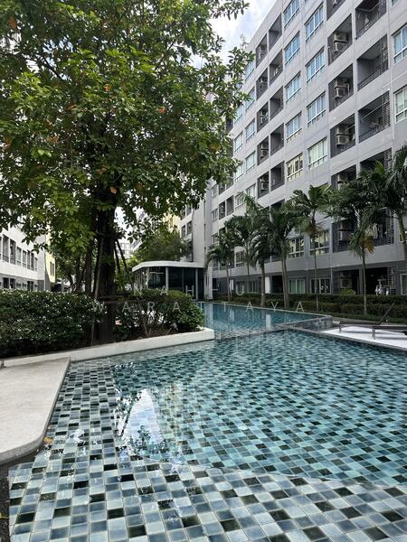 Elio Sukhumvit 64 : เอลลิโอ สุขุมวิท 64, Bangkok, 99 ซอยสุขุมวิท 64, Bang Chak, Phra Khanong, Bangkok, Studio, 22 sqm, Condo For Sale, by Nah-U. Warattaya, 500026002 - DDproperty.com