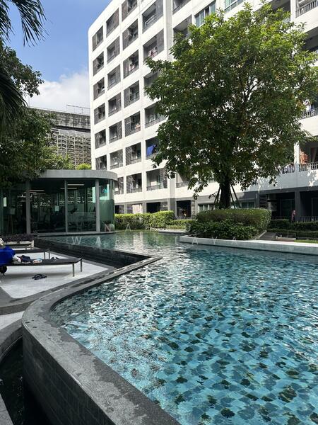 Elio Sukhumvit 64 : เอลลิโอ สุขุมวิท 64, Bangkok, 99 ซอยสุขุมวิท 64, Bang Chak, Phra Khanong, Bangkok, Studio, 22 sqm, Condo For Sale, by Nah-U. Warattaya, 500026002 - DDproperty.com