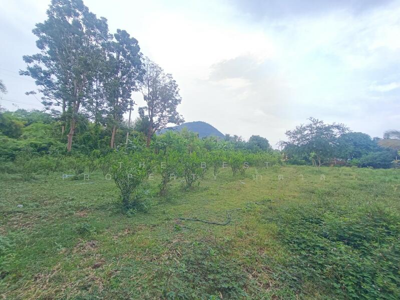 ขาย - ที่ดินโพธาราม ราชบุรี, ราชบุรี