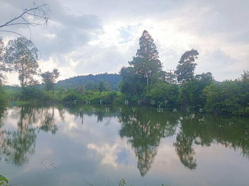 ขาย - ที่ดินโพธาราม ราชบุรี, ราชบุรี