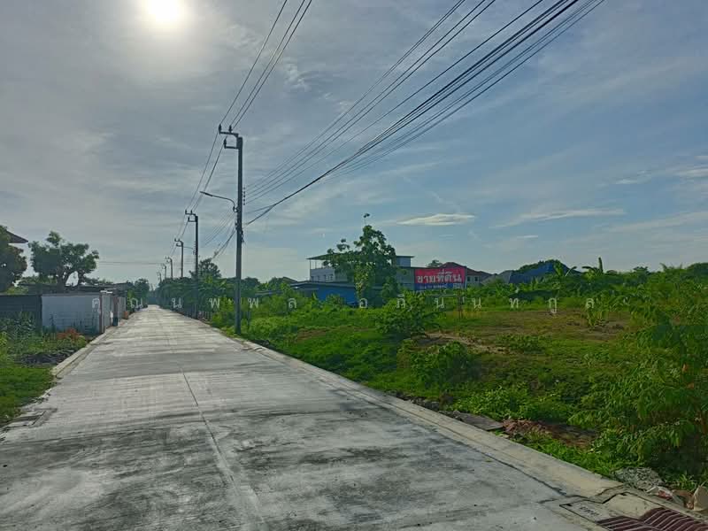 Land, Bangkok, ทวีวัฒนา-กาญจนา 18, Thawi Watthana, Bangkok, , 1,272 sqm, Land For Sale, by คุณนพพล อภินนท์กูล, 500026415 - DDproperty.com