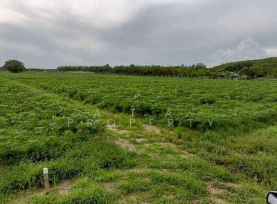 ขาย - ที่ดิน นิคมพัฒนา ระยอง ใกล้ WHA36, ระยอง