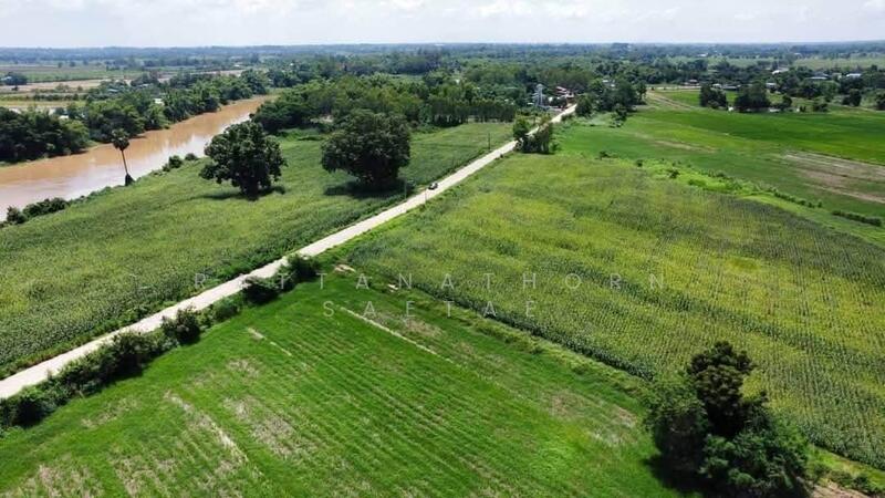 36.5 rai in Phitsanulok, ~350m Yom River frontage, Concrete public road (~7m wide), Phitsanulok, Bang Rakam, Phitsanulok, , 58,484 sqm, Land For Sale, by Rattanathorn Saetae, 500026985 - DDproperty.com