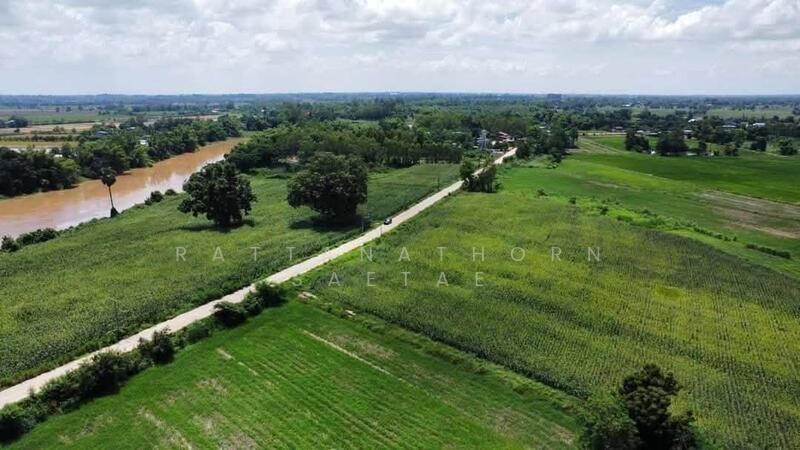 36.5 rai in Phitsanulok, ~350m Yom River frontage, Concrete public road (~7m wide), Phitsanulok, Bang Rakam, Phitsanulok, , 58,484 sqm, Land For Sale, by Rattanathorn Saetae, 500026985 - DDproperty.com