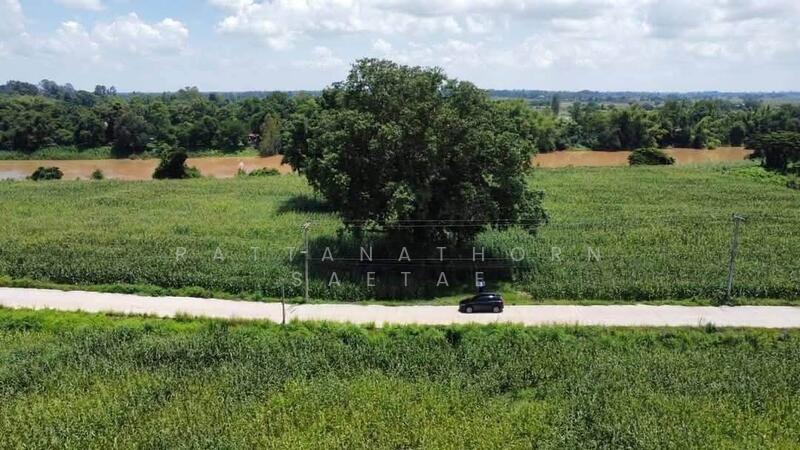 36.5 rai in Phitsanulok, ~350m Yom River frontage, Concrete public road (~7m wide), Phitsanulok, Bang Rakam, Phitsanulok, , 58,484 sqm, Land For Sale, by Rattanathorn Saetae, 500026985 - DDproperty.com
