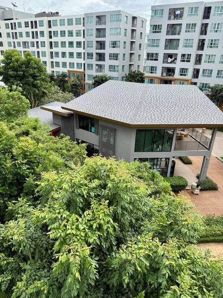 ให้เช่า - Dcondo Nim : ดีคอนโด นิม, เชียงใหม่