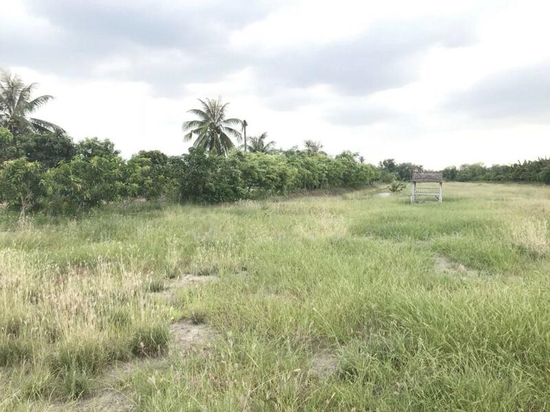 ขาย - ขาย ที่ดินสวย ริมแม่น้ำบางปะกง วิวท้องคุ้งแม่น้ำ อ.บางคล้า จ.ฉะเชิงเทรา, ฉะเชิงเทรา