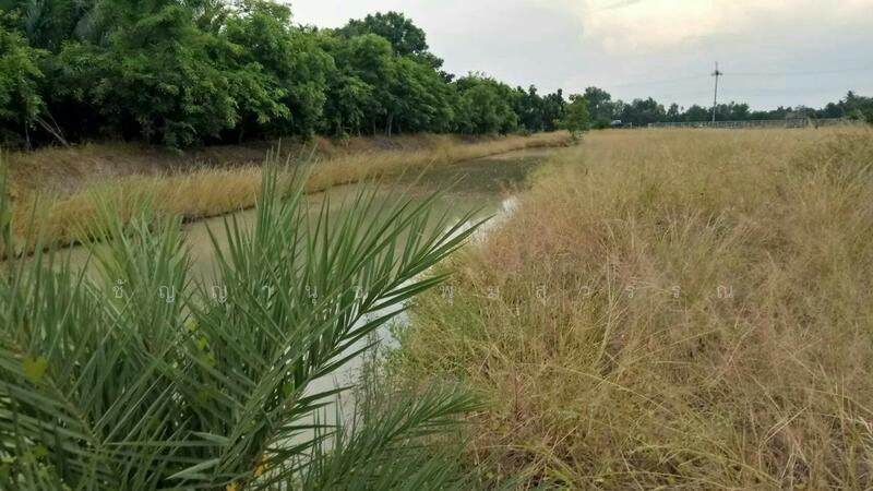 ขาย - ขาย ที่ดินสวย ริมแม่น้ำบางปะกง วิวท้องคุ้งแม่น้ำ อ.บางคล้า จ.ฉะเชิงเทรา, ฉะเชิงเทรา