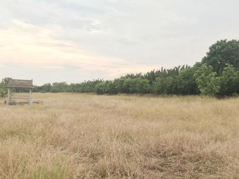 ขาย - ขาย ที่ดินสวย ริมแม่น้ำบางปะกง วิวท้องคุ้งแม่น้ำ อ.บางคล้า จ.ฉะเชิงเทรา, ฉะเชิงเทรา