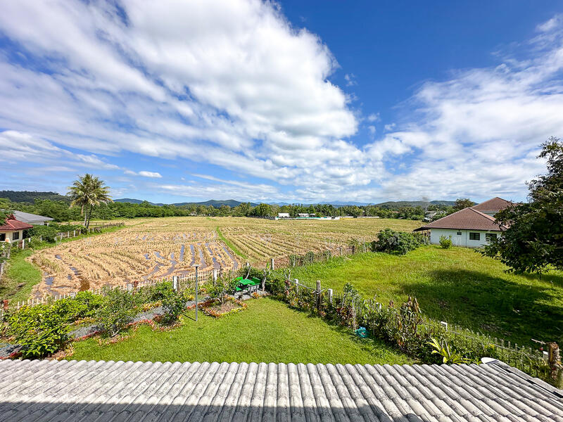 ให้เช่า - ป่าป้อง, เชียงใหม่