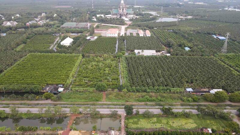 ขาย - ขายที่ดินสวน ทำเลดีมาก ติดหลังวัดหลวงพ่อสด –ด้านหน้าติดถนนคลองชลประทาน ดำเนินสะดวก จังหวัดราชบุรี, ราชบุรี