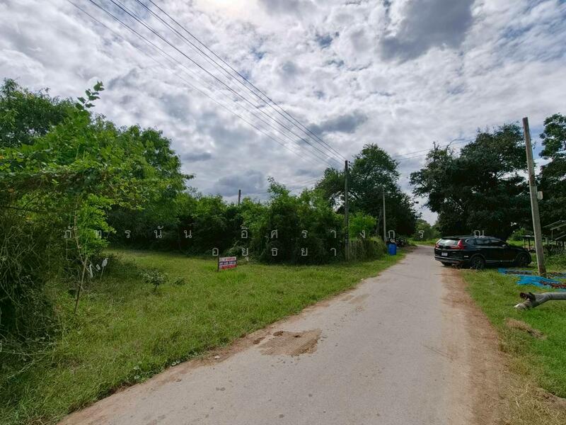ขาย - ที่ดินเปล่า ถนนทางหลวงชนบท อบ. 4030 ต.หนองผักนาก อ.สามชุก จ.สุพรรณบุรี, สุพรรณบุรี