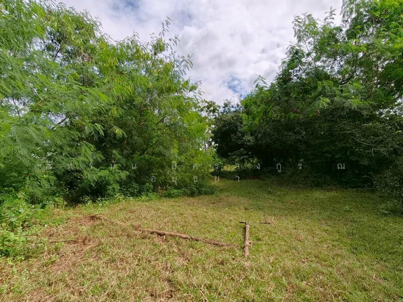 ขาย - ที่ดินเปล่า ถนนทางหลวงชนบท อบ. 4030 ต.หนองผักนาก อ.สามชุก จ.สุพรรณบุรี, สุพรรณบุรี