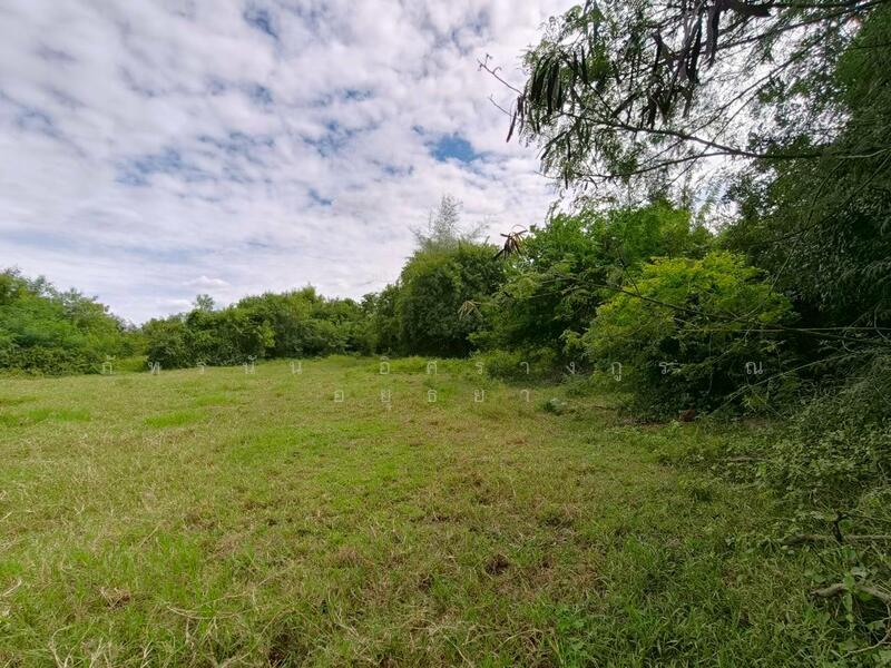 ขาย - ที่ดินเปล่า ถนนทางหลวงชนบท อบ. 4030 ต.หนองผักนาก อ.สามชุก จ.สุพรรณบุรี, สุพรรณบุรี