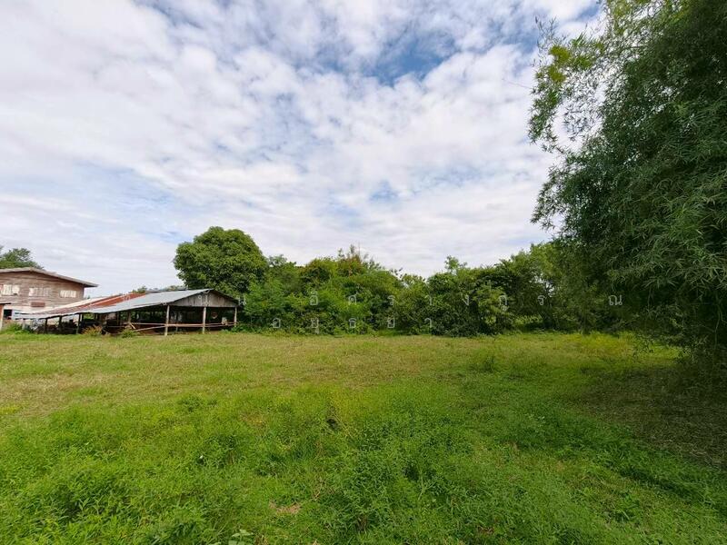 ขาย - ที่ดินเปล่า ถนนทางหลวงชนบท อบ. 4030 ต.หนองผักนาก อ.สามชุก จ.สุพรรณบุรี, สุพรรณบุรี