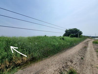 ขาย - ขายที่ดิน 1-3-65.8 ไร่ ซอยวัดหอมศีล ถนนบางนา-ตราด กม. 34 ฉะเชิงเทรา บางปะกง, ฉะเชิงเทรา