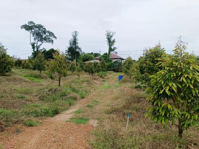 ขาย - ที่ดินตะกาง ตราด, ตราด