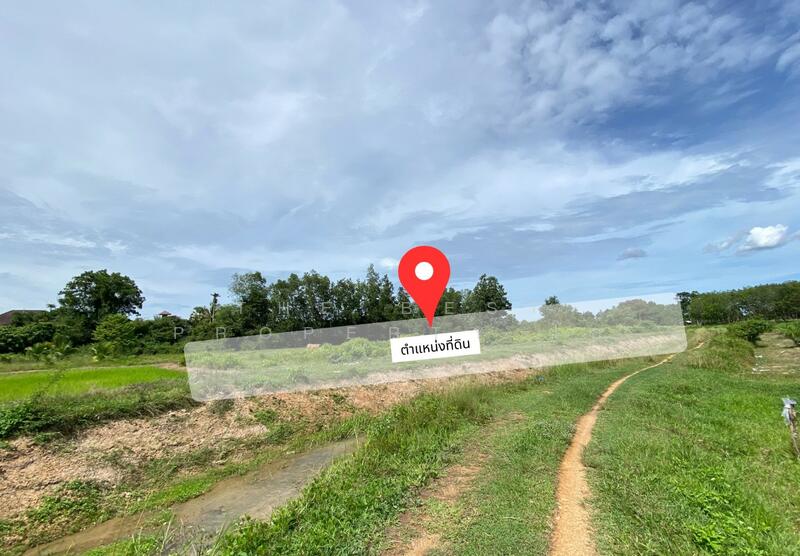 ที่ดินรัตภูมิ สงขลา, Songkhla, Kamphangphet, Rattaphum, Songkhla, , 3,344 sqm, Land For Sale, by The Best Property โอ๋, 500029964 - DDproperty.com