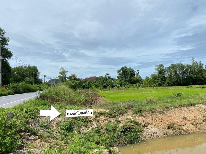 ที่ดินรัตภูมิ สงขลา, Songkhla, Kamphangphet, Rattaphum, Songkhla, , 3,344 sqm, Land For Sale, by The Best Property โอ๋, 500029964 - DDproperty.com