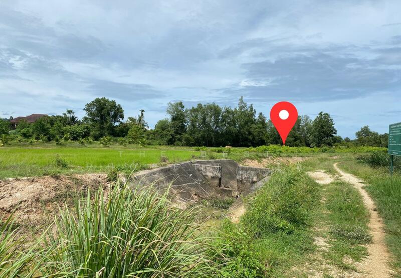 ที่ดินรัตภูมิ สงขลา, Songkhla, Kamphangphet, Rattaphum, Songkhla, , 3,344 sqm, Land For Sale, by The Best Property โอ๋, 500029964 - DDproperty.com