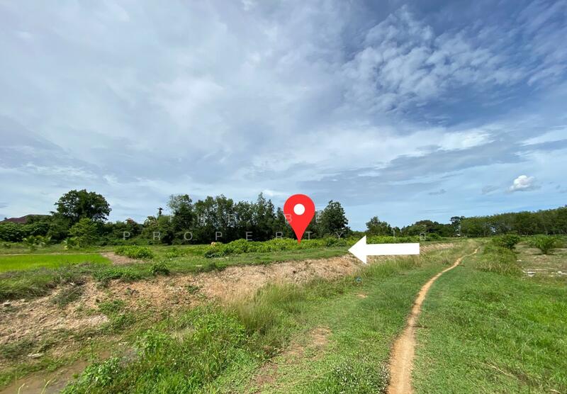 ที่ดินรัตภูมิ สงขลา, Songkhla, Kamphangphet, Rattaphum, Songkhla, , 3,344 sqm, Land For Sale, by The Best Property โอ๋, 500029964 - DDproperty.com