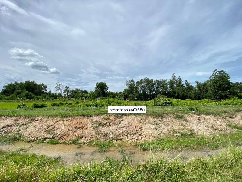 ที่ดินรัตภูมิ สงขลา, Songkhla, Kamphangphet, Rattaphum, Songkhla, , 3,344 sqm, Land For Sale, by The Best Property โอ๋, 500029964 - DDproperty.com