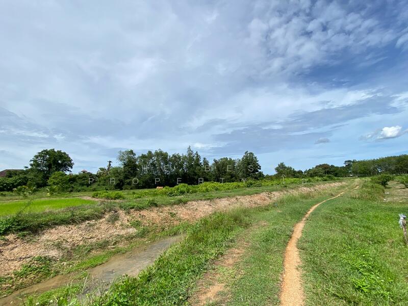 ที่ดินรัตภูมิ สงขลา, Songkhla, Kamphangphet, Rattaphum, Songkhla, , 3,344 sqm, Land For Sale, by The Best Property โอ๋, 500029964 - DDproperty.com