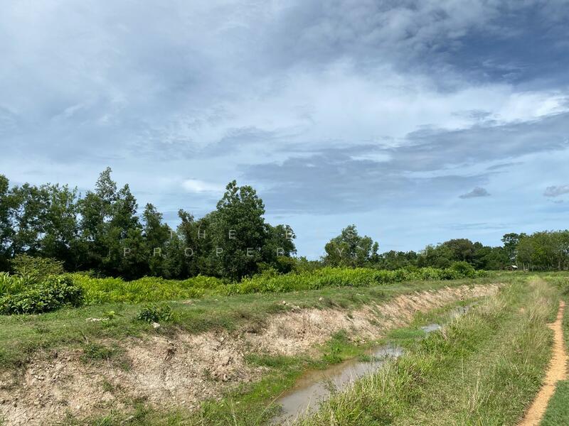 ที่ดินรัตภูมิ สงขลา, Songkhla, Kamphangphet, Rattaphum, Songkhla, , 3,344 sqm, Land For Sale, by The Best Property โอ๋, 500029964 - DDproperty.com