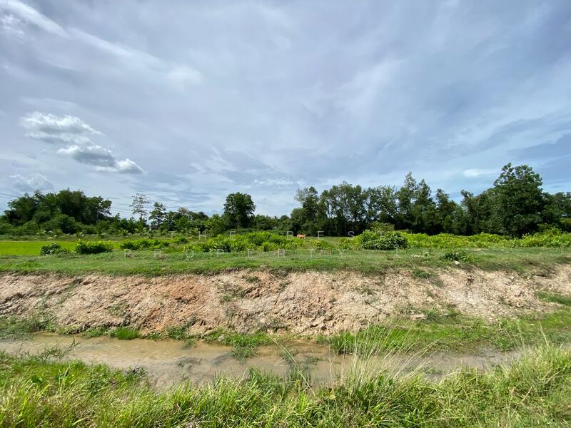 ที่ดินรัตภูมิ สงขลา, Songkhla, Kamphangphet, Rattaphum, Songkhla, , 3,344 sqm, Land For Sale, by The Best Property โอ๋, 500029964 - DDproperty.com